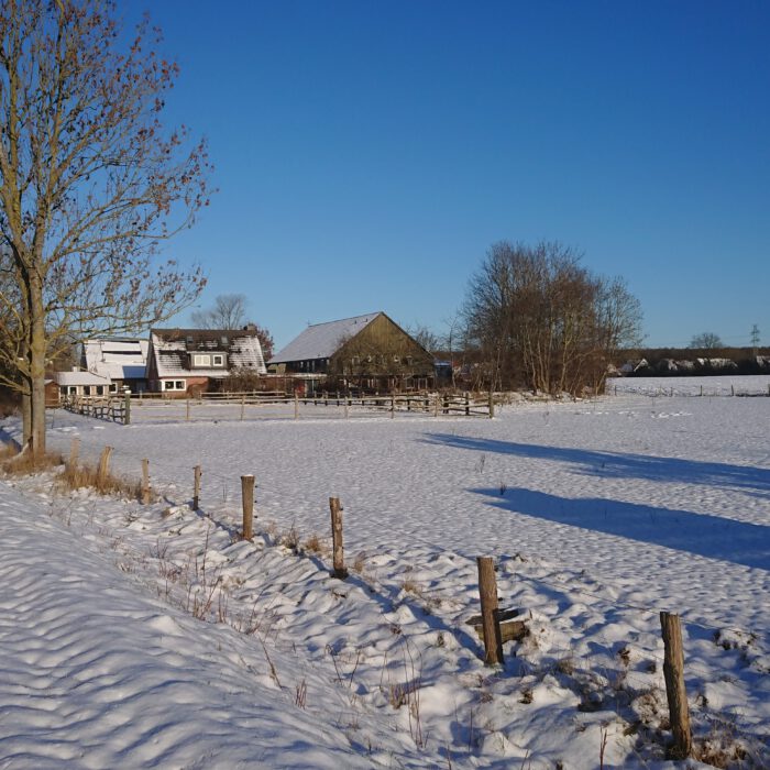 Zu Weihnachten an die See… vielleicht sogar mit Schnee?