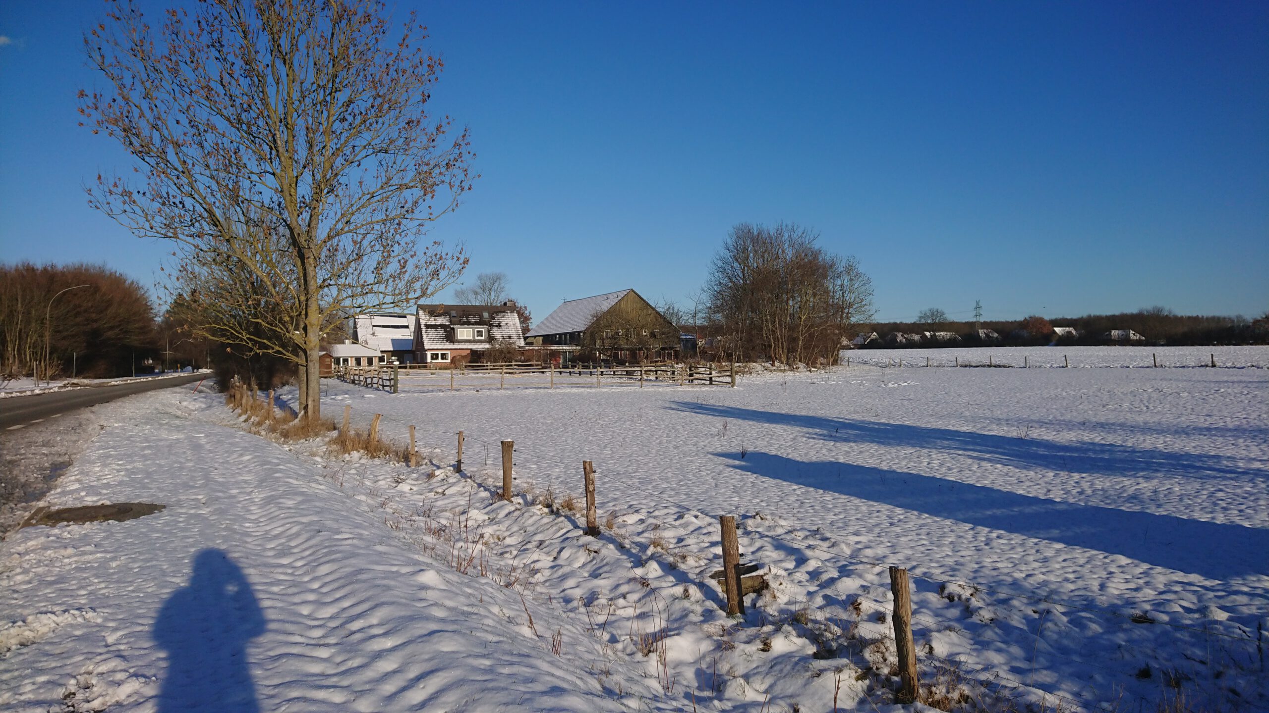 Zu Weihnachten an die See… vielleicht sogar mit Schnee?